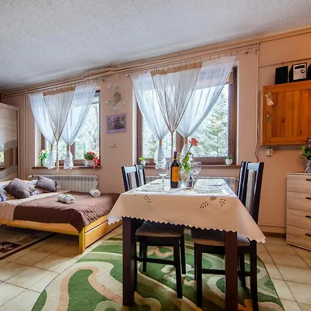 Apartment Apartamenty W Centrum - Zakopane *
