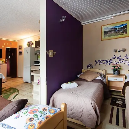 Apartamenty W Centrum - Zakopane Zakopane
