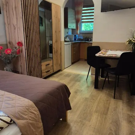 W Centrum - 자코파네